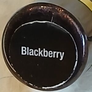 Lipsense long lasting liquid lip color Blackberry